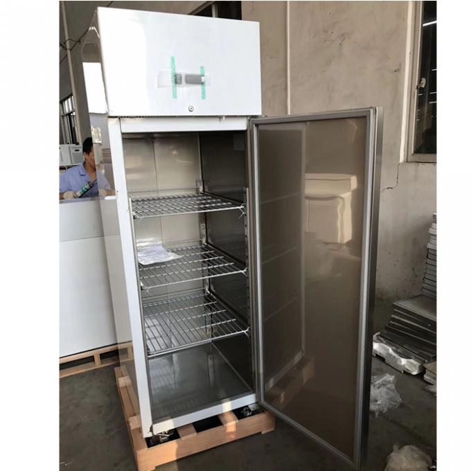 Tủ đông lạnh bằng thép không gỉ thương mại CE 250W 1