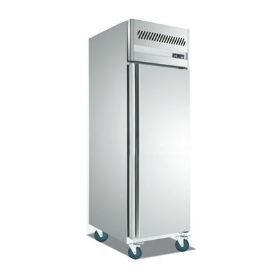 Tủ đông lạnh bằng thép không gỉ thương mại CE 250W