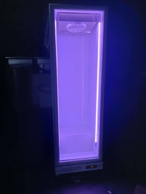 R290 Tủ lạnh thẳng đứng cửa duy nhất