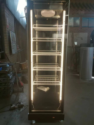 R290 Tủ lạnh thẳng đứng cửa duy nhất
