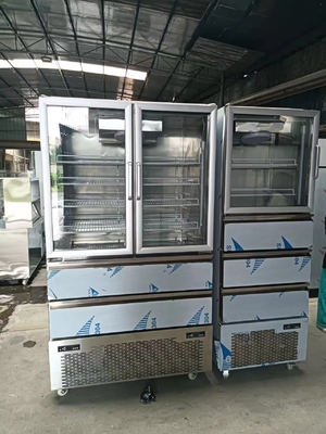 Tủ lạnh thẳng đứng 2 Cửa kính cho tủ đông 2 Kệ cho máy lạnh cho nhà bếp với 110V / 60Hz
