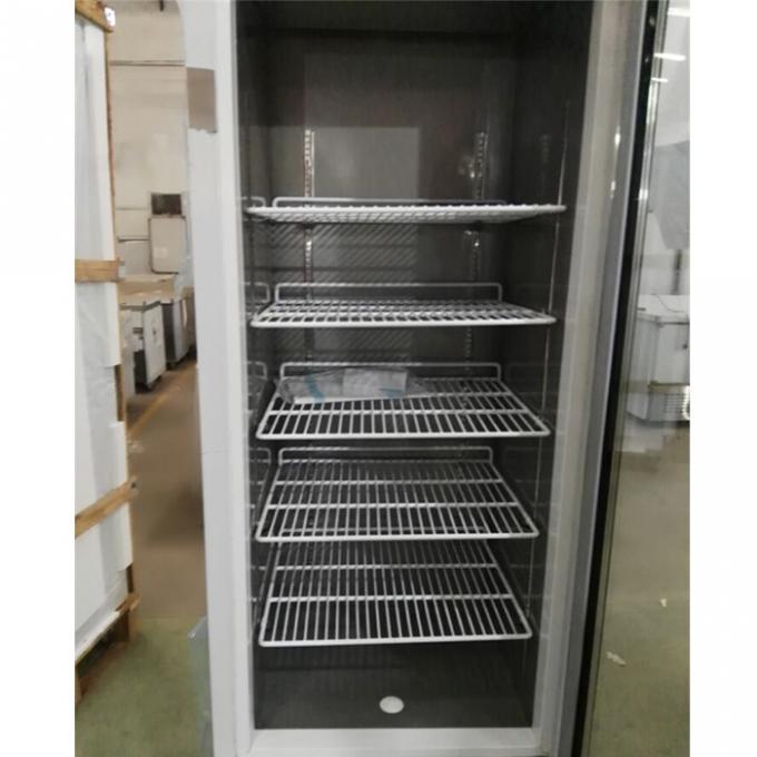 Tủ đông lạnh bằng thép không gỉ thương mại CE 250W 2